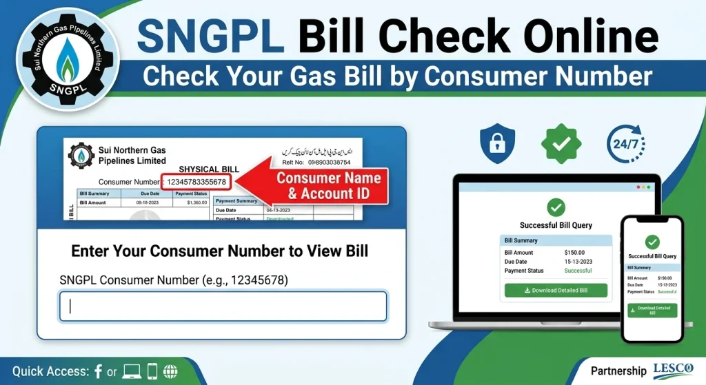 SNGPL Bill Check Online by Consumer Number